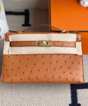 에르메스 미니 켈리백22 골드브라운 금장 타조가죽